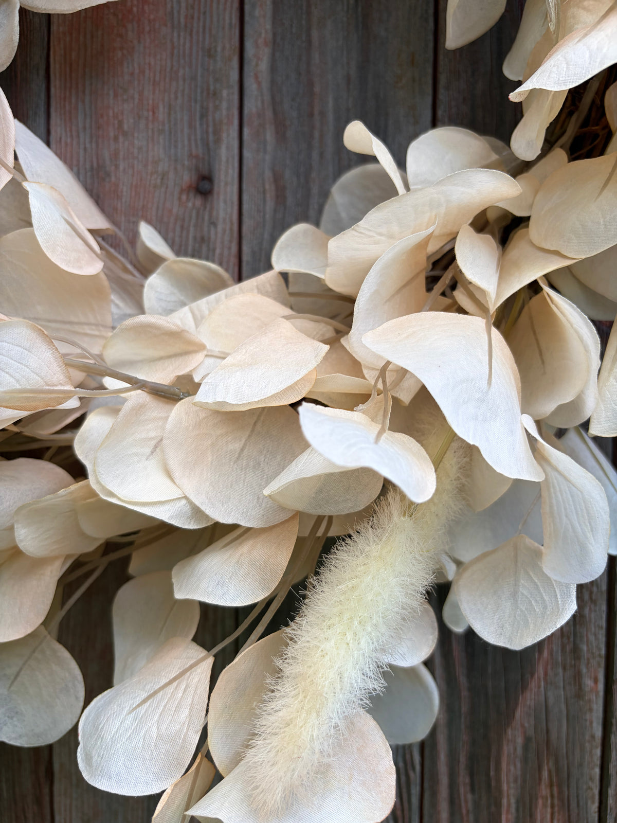 Toasted Eucalyptus Wreath