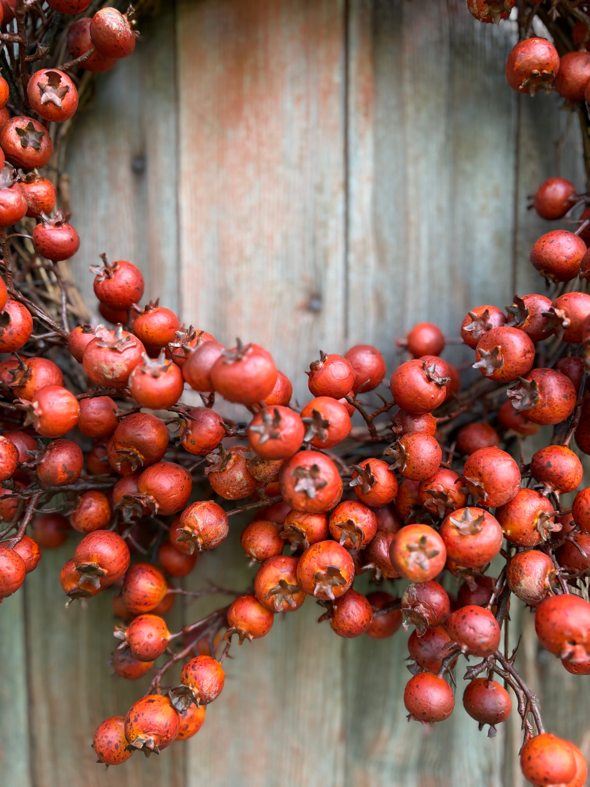 Autumn Berry Wreath