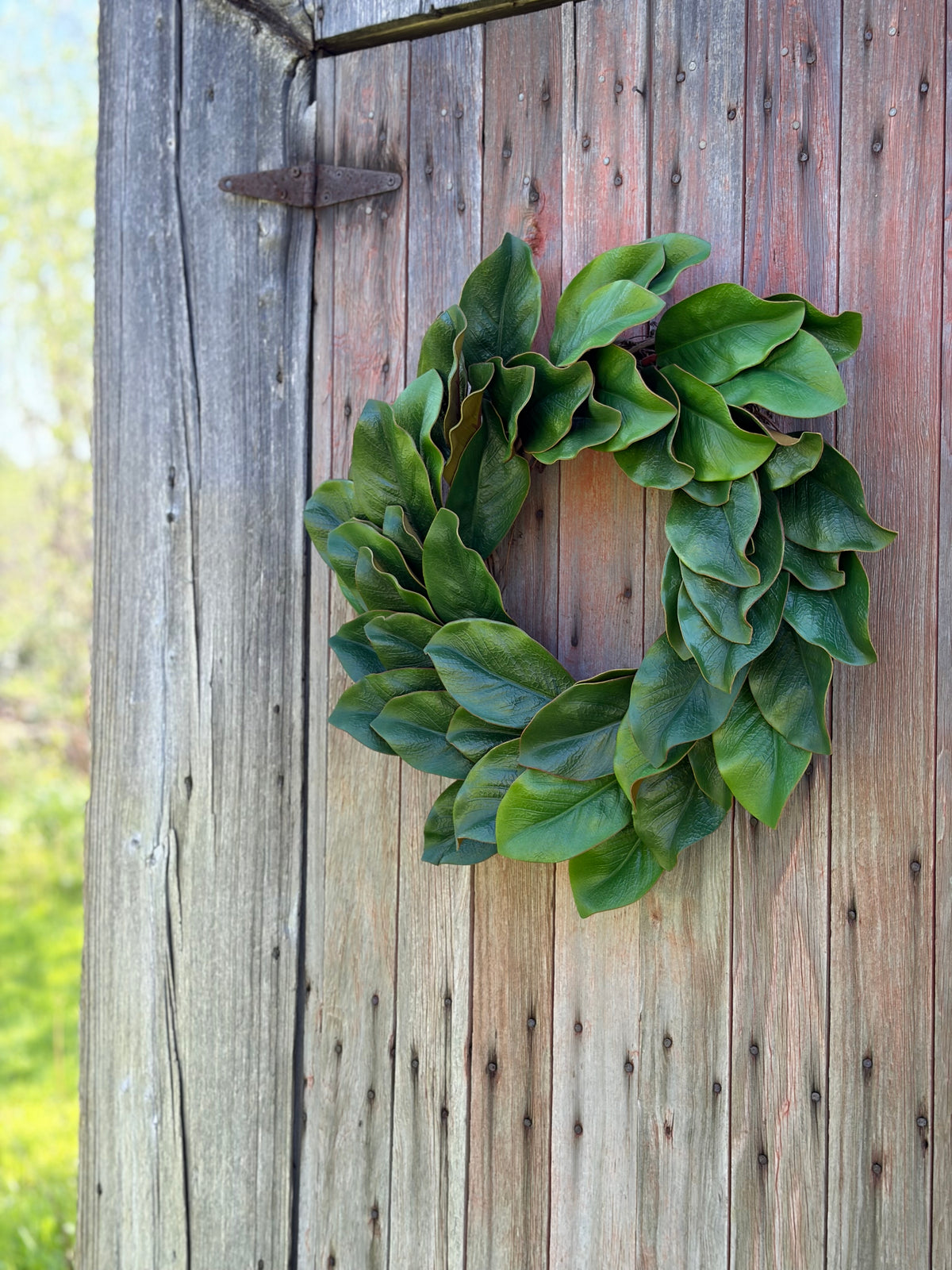Southern Magnolia