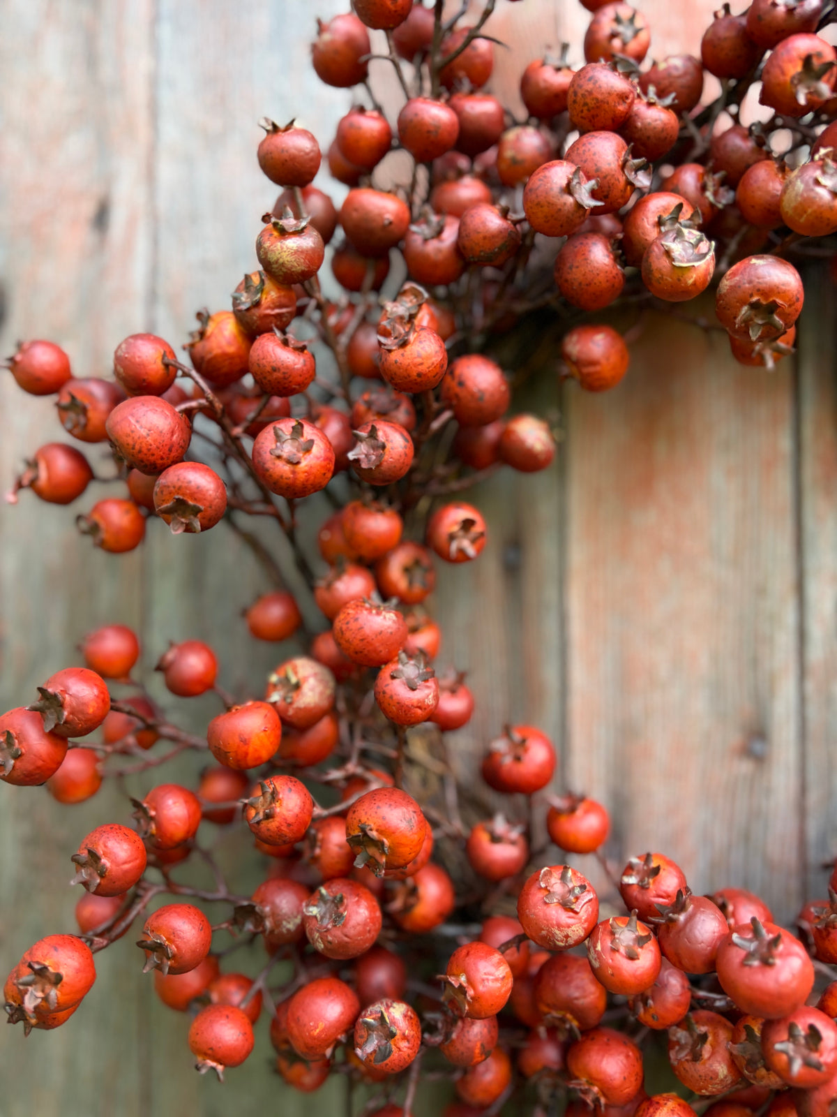 Autumn Berry Wreath