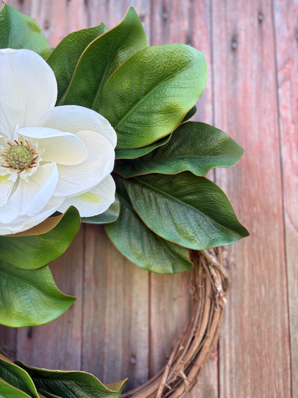 Classic Magnolia