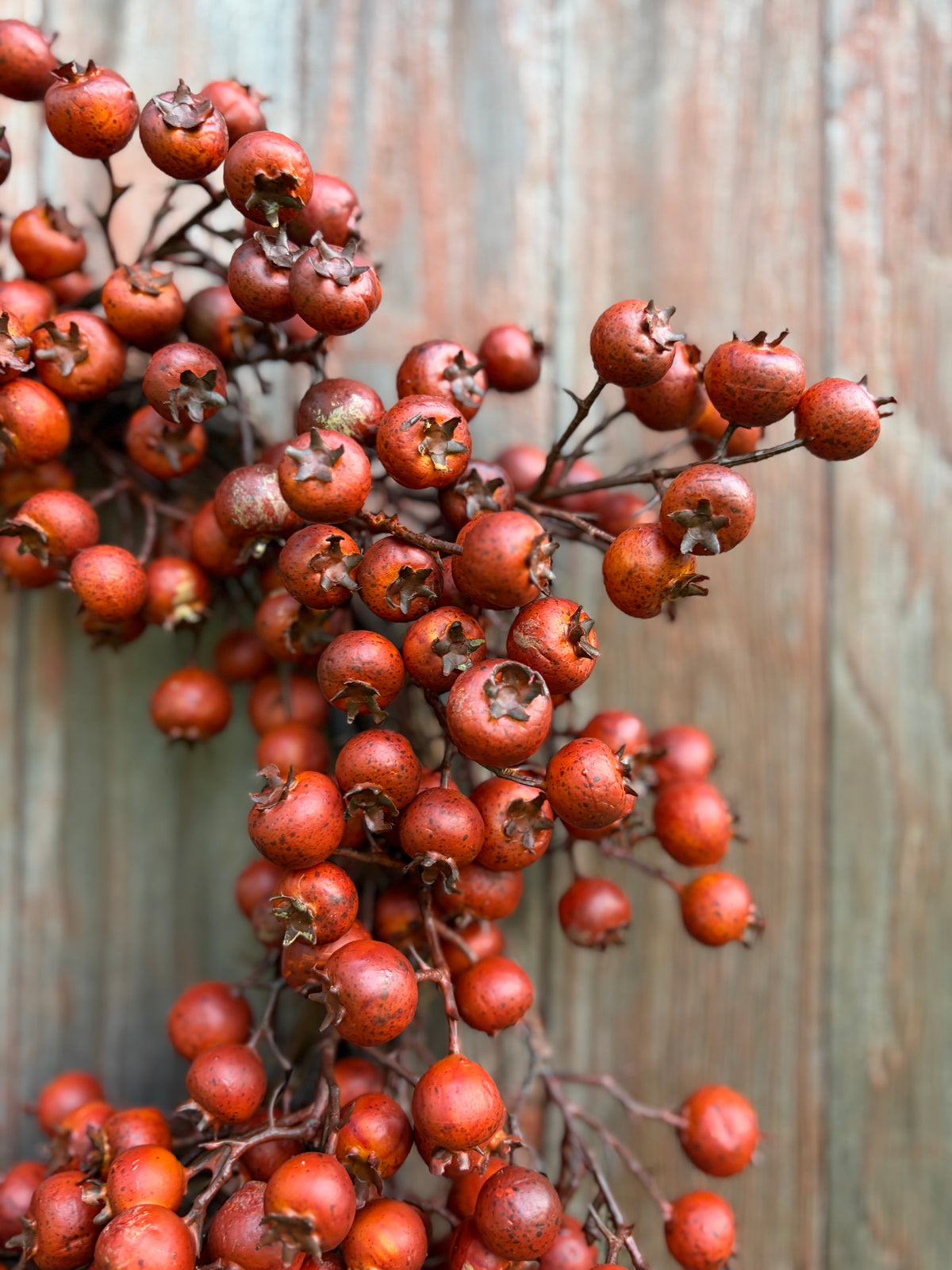 Autumn Berry Wreath