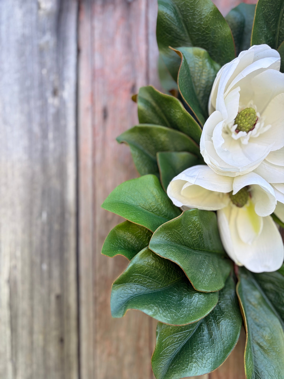 Classic Magnolia
