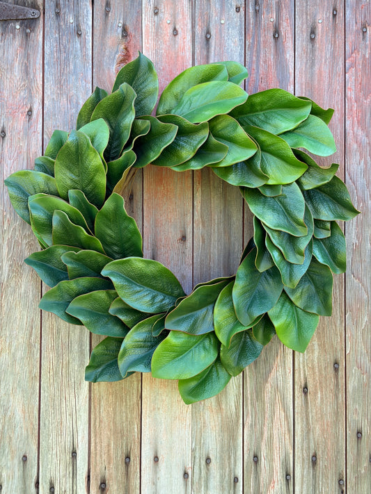Southern Magnolia