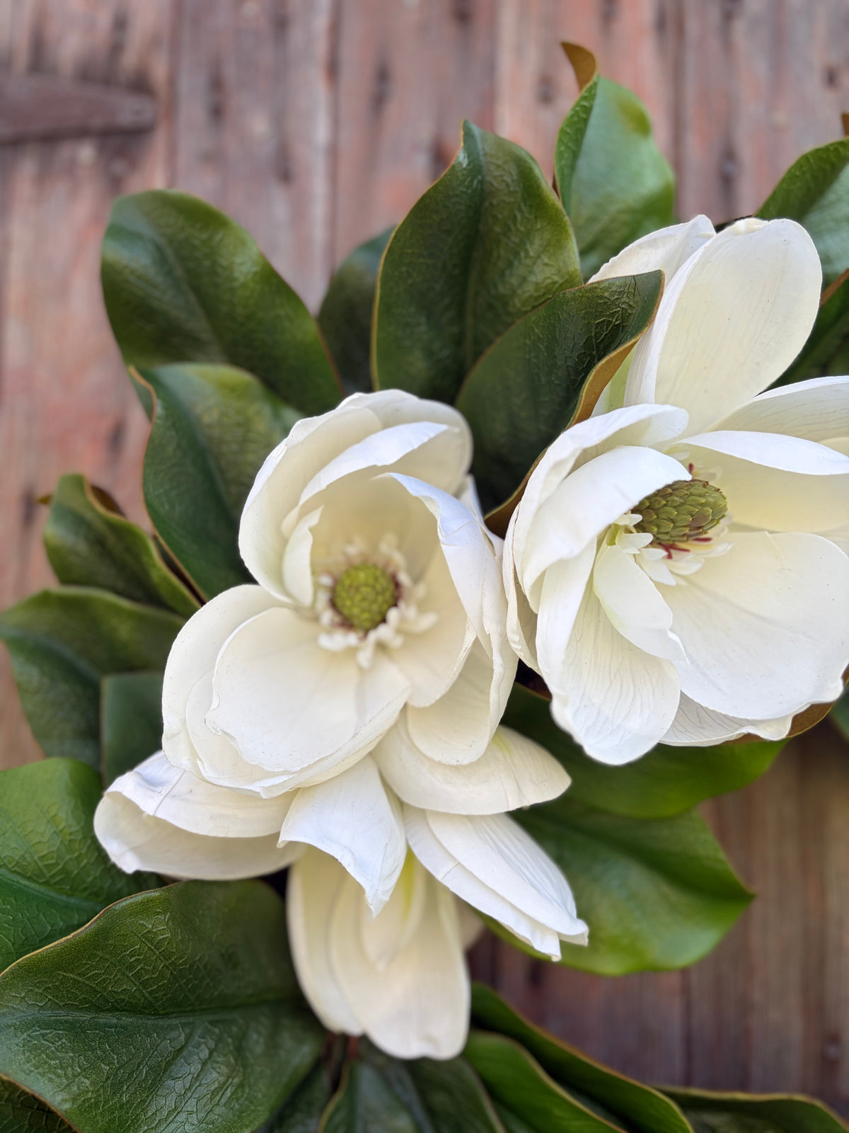 Classic Magnolia