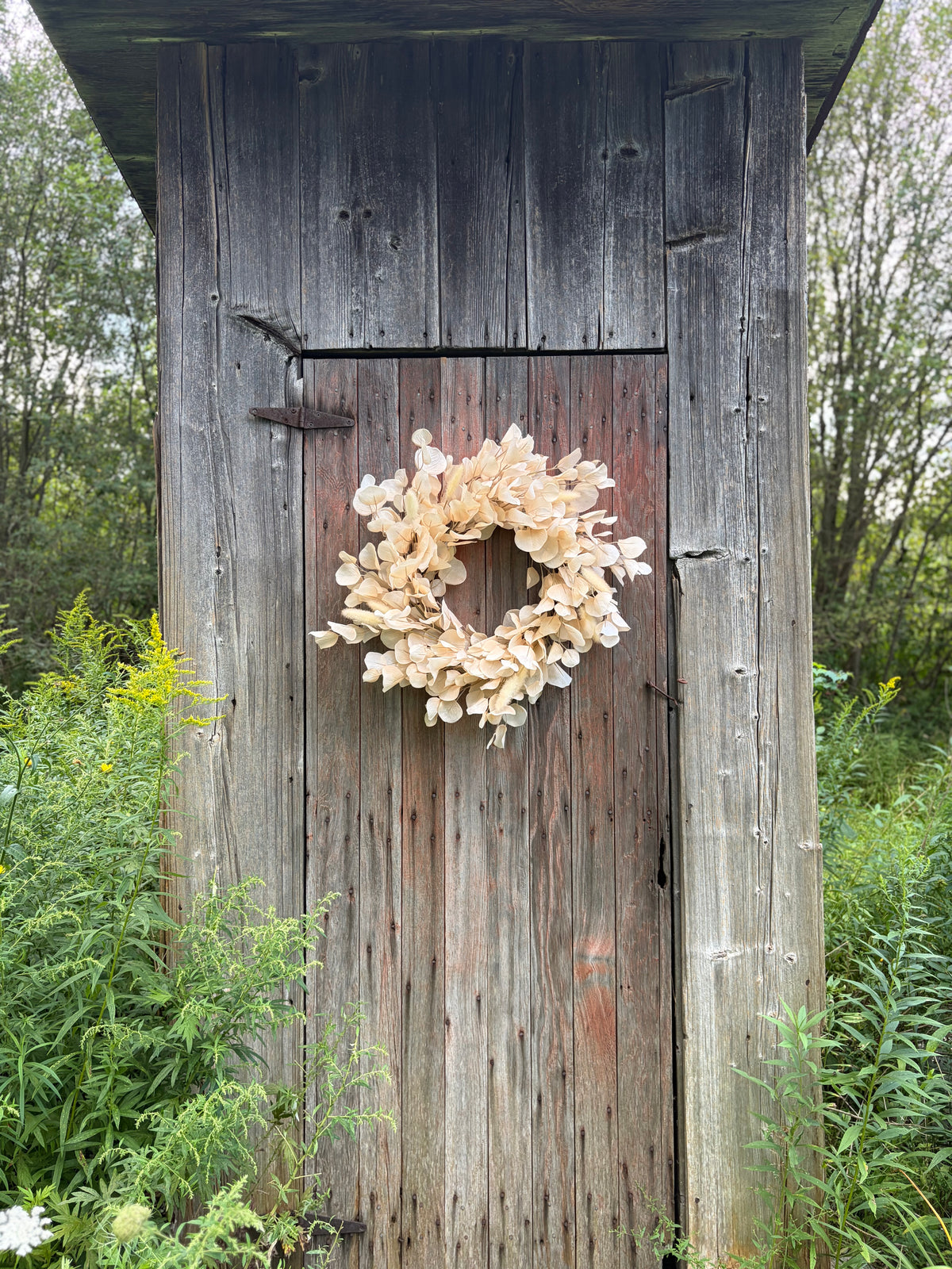 Toasted Eucalyptus Wreath