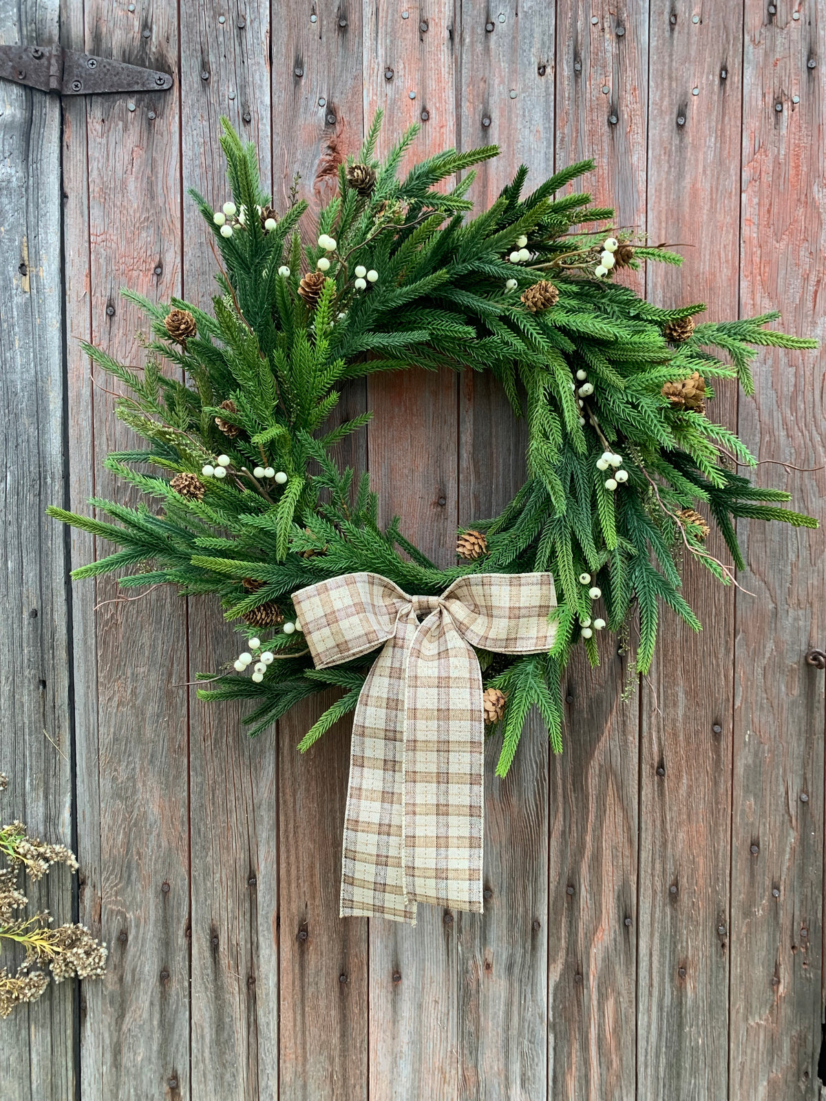 Rustic Norfolk Pine Winter Wreath