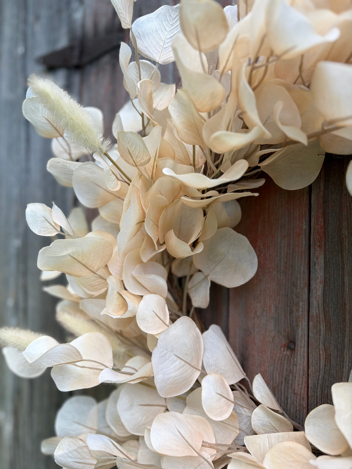 Toasted Eucalyptus Wreath