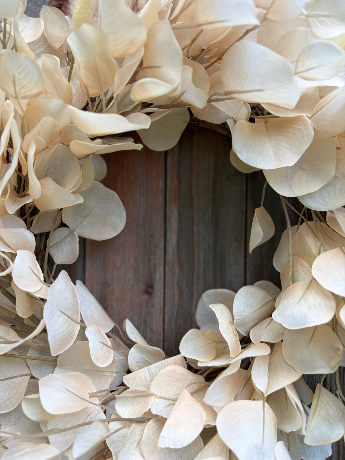 Toasted Eucalyptus Wreath