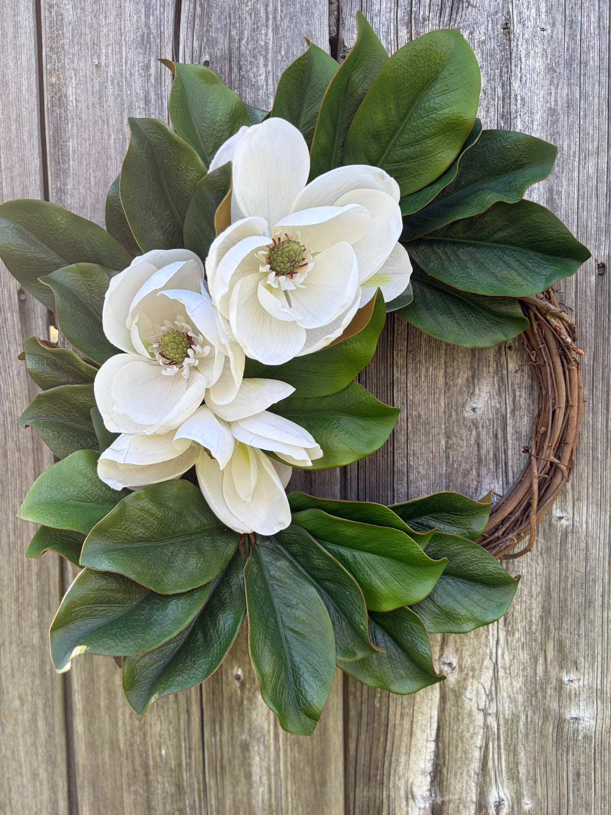 Classic Magnolia