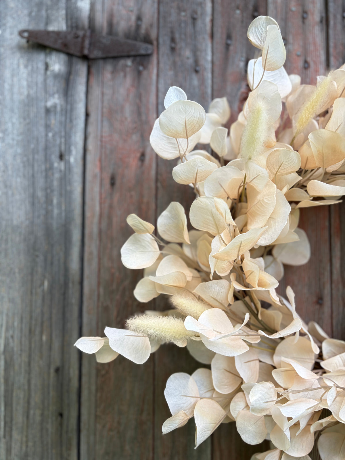 Toasted Eucalyptus Wreath
