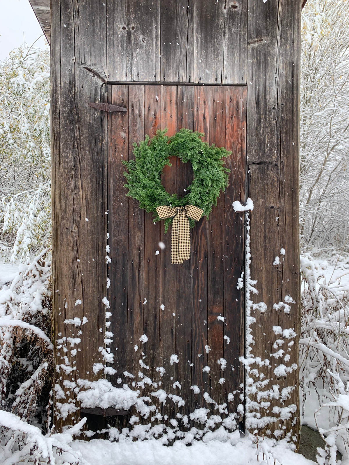Simply Cedar Winter Wreath